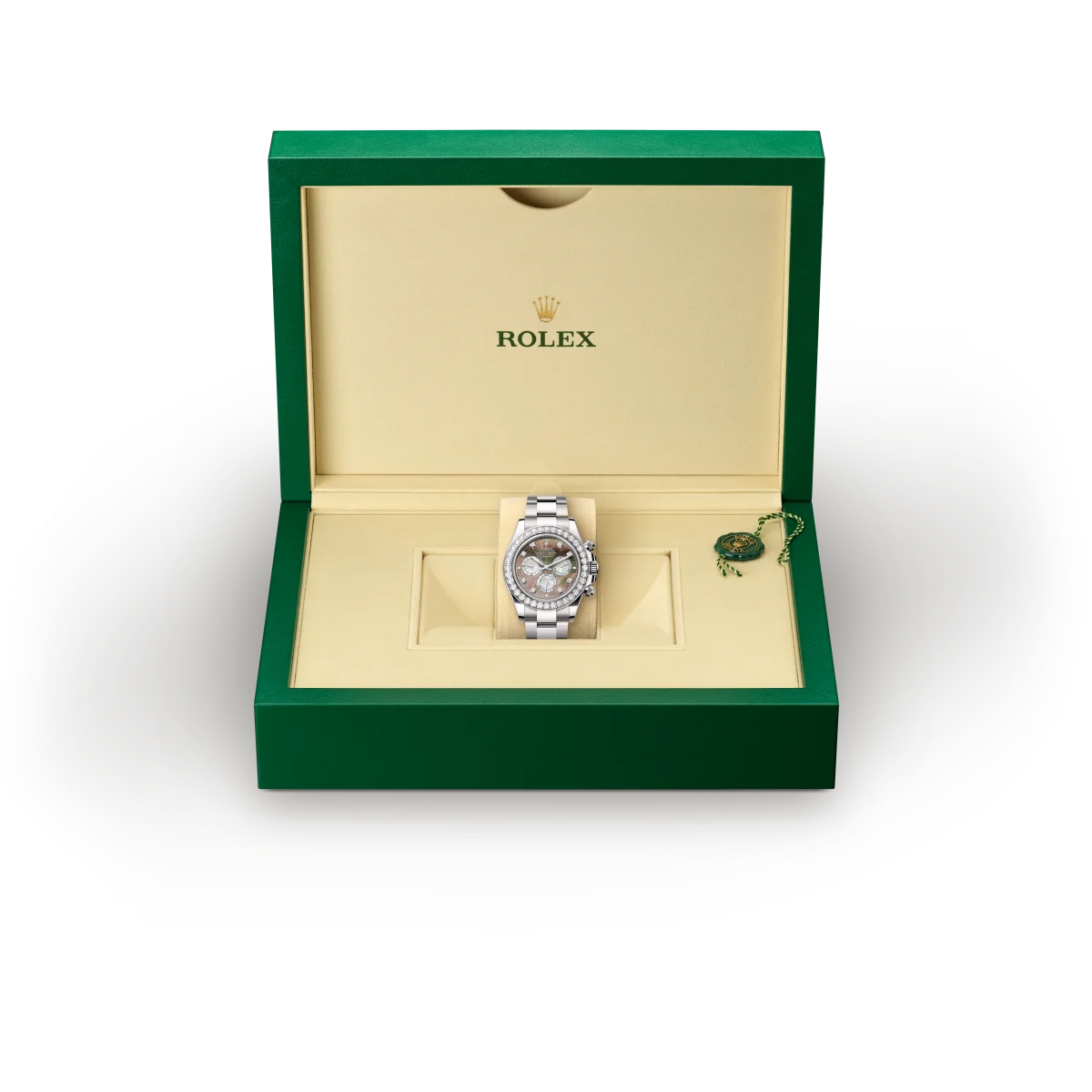 Rolex Cosmograph Daytona in 18 ct white gold, M126579RBR-0001 - Emperor Watch & Jewellery Ltd