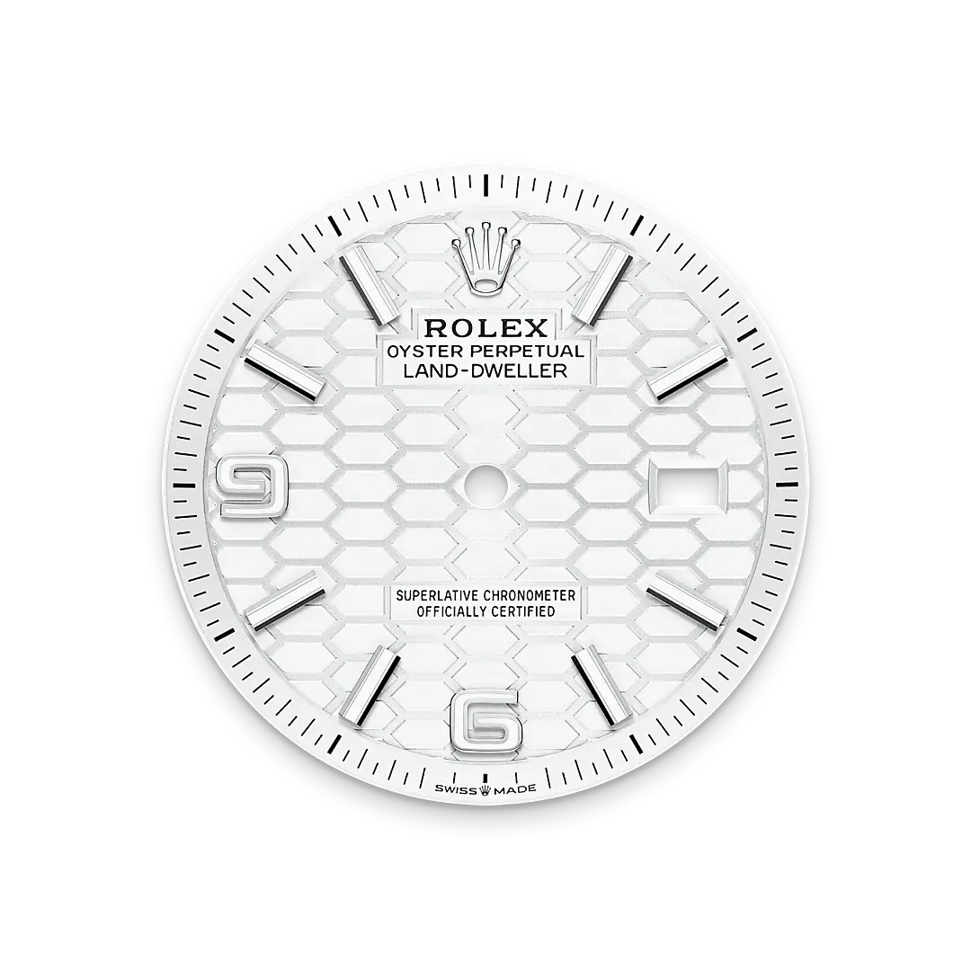 Rolex Land-Dweller in White Rolesor - combination of Oystersteel and white gold, M127234-0001 - Emperor Watch & Jewellery Singapore