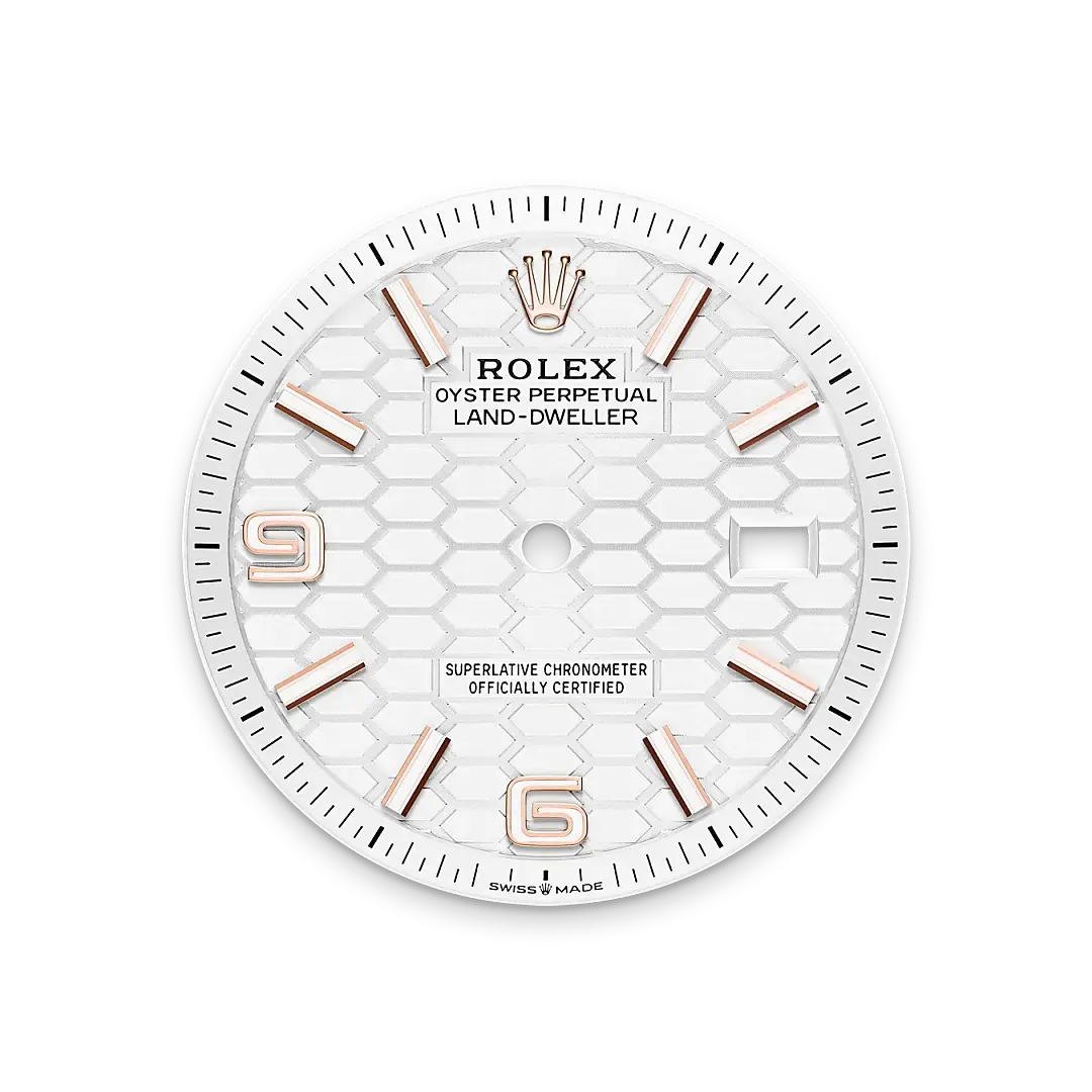 Rolex Land-Dweller in 18 ct Everose gold, M127235-0001 - Emperor Watch & Jewellery Singapore