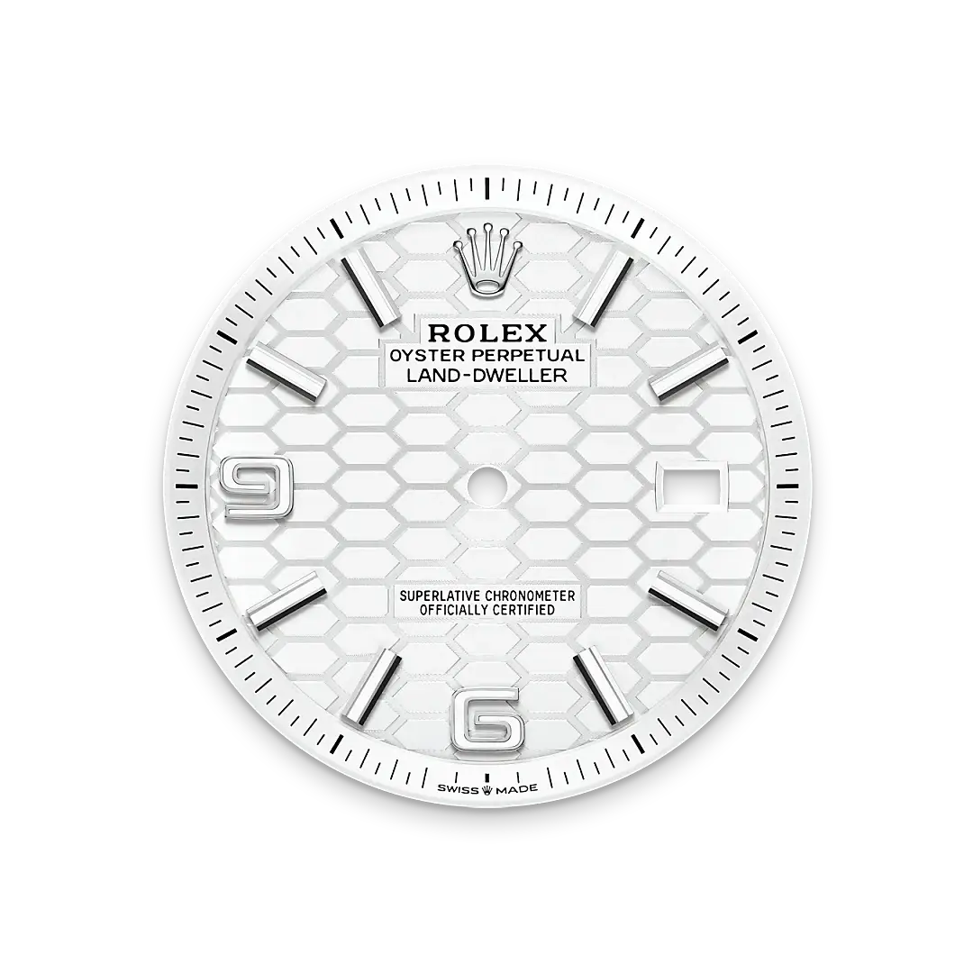 Rolex Land-Dweller in White Rolesor - combination of Oystersteel and white gold, M127334-0001 - Emperor Watch & Jewellery Singapore