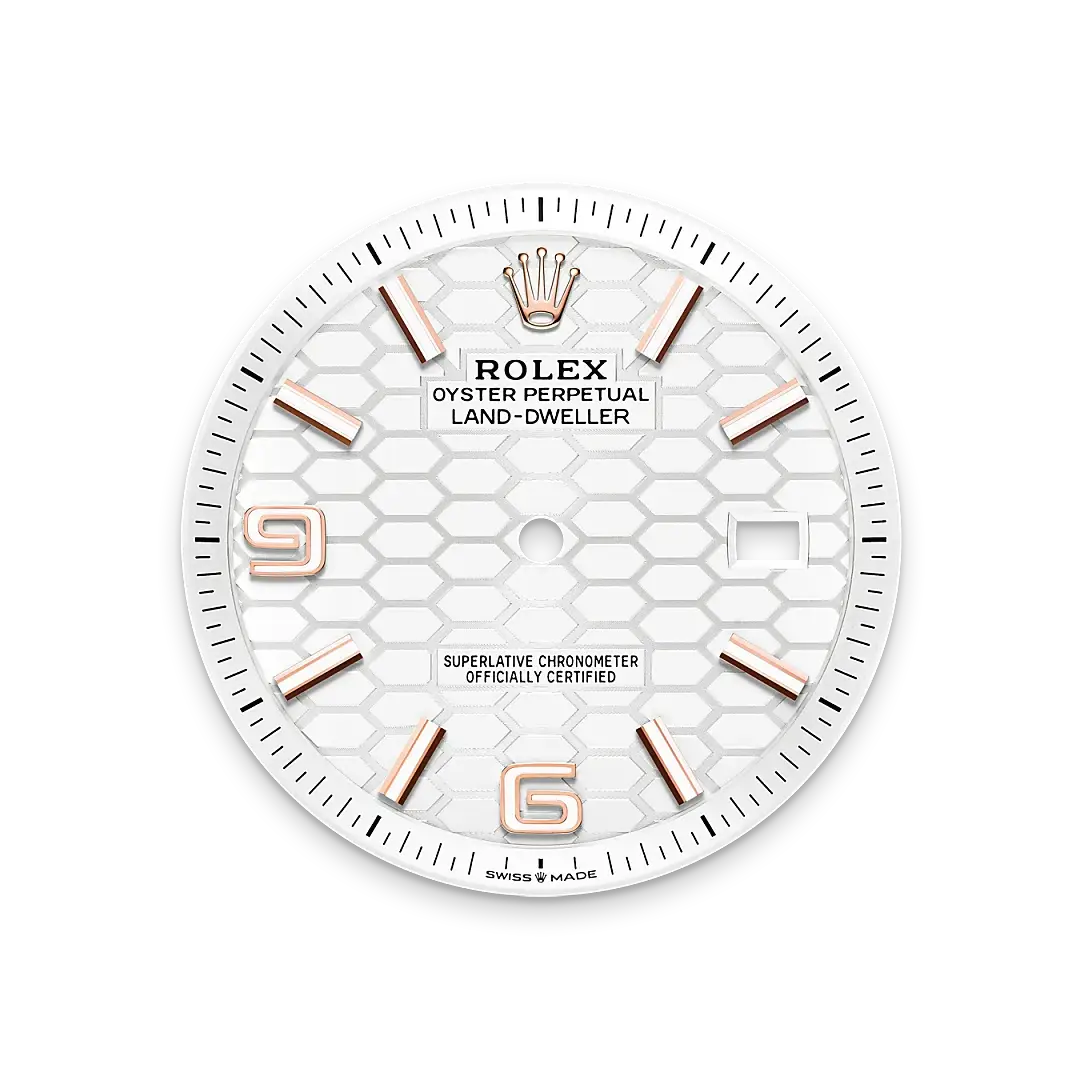 Rolex Land-Dweller in 18 ct Everose gold, M127335-0001 - Emperor Watch & Jewellery Singapore