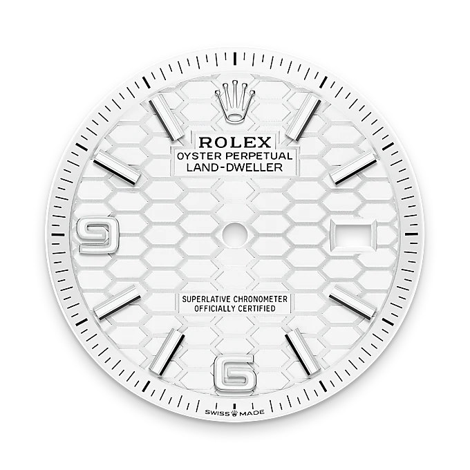 Rolex Land-Dweller in White Rolesor - combination of Oystersteel and white gold, M127234-0001 - Emperor Watch & Jewellery Singapore