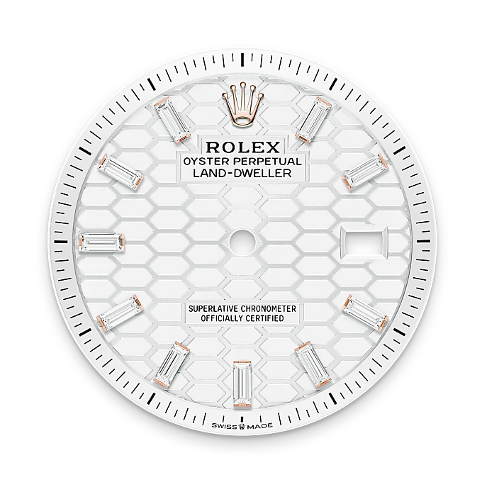 Rolex Land-Dweller in 18 ct Everose gold, M127285TBR-0002 - Emperor Watch & Jewellery Singapore