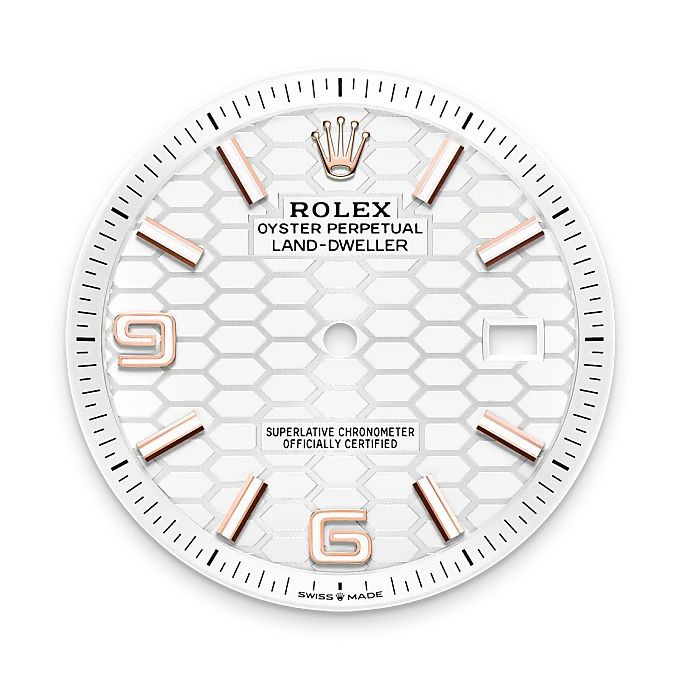 Rolex Land-Dweller in 18 ct Everose gold, M127335-0001 - Emperor Watch & Jewellery Singapore