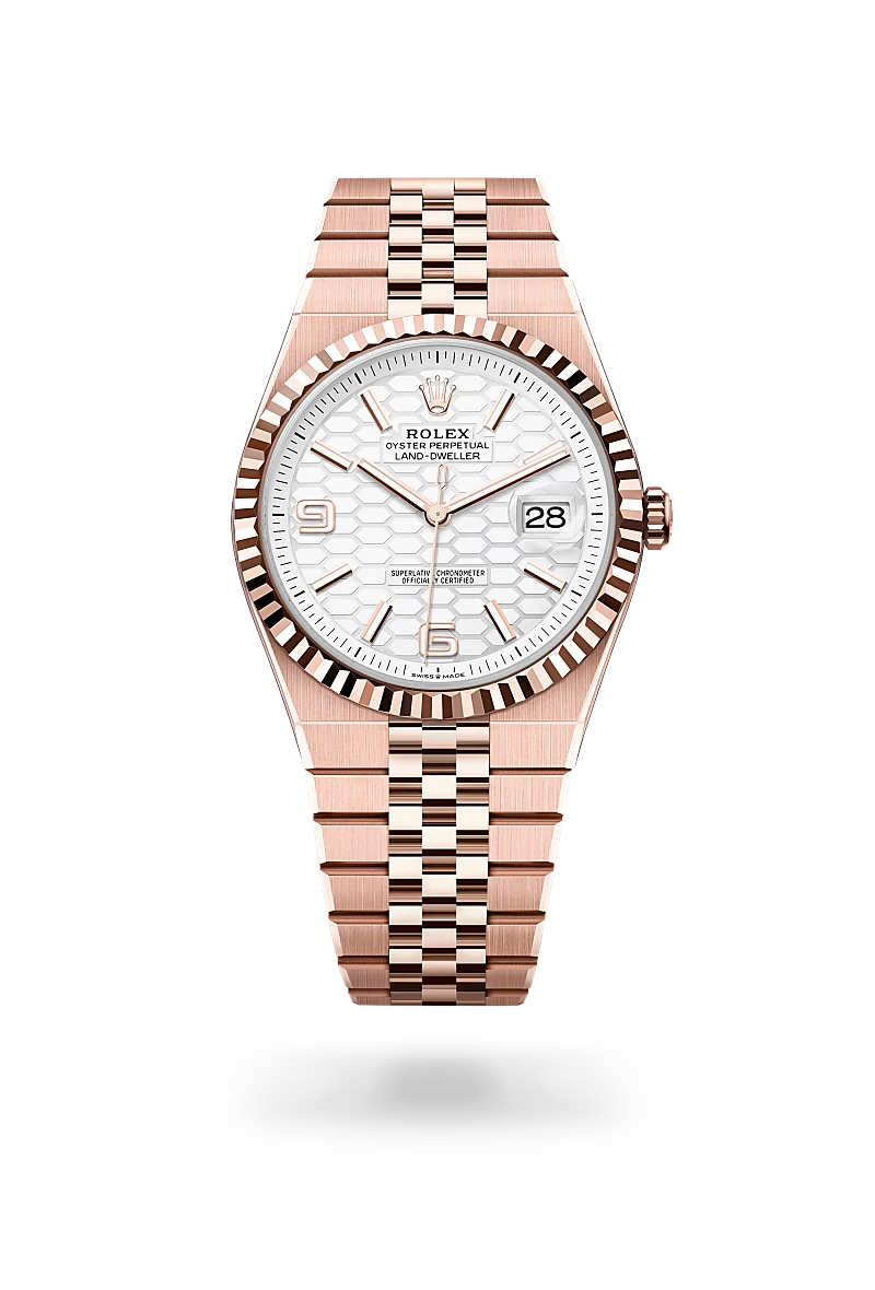 Rolex Land-Dweller in 18 ct Everose gold, M127335-0001 - Emperor Watch & Jewellery Singapore