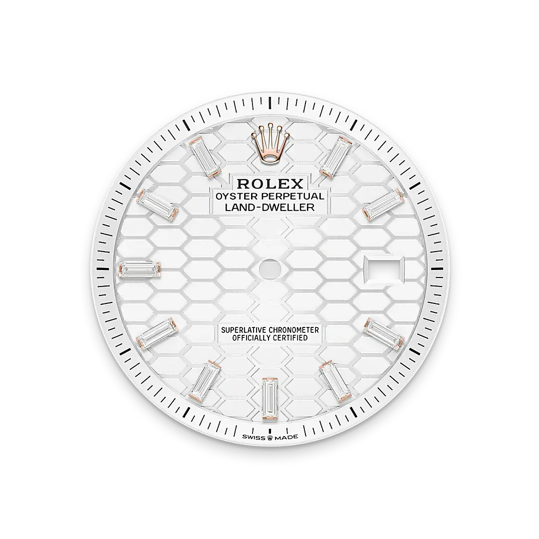 Rolex Land-Dweller in 18 ct Everose gold, M127385TBR-0003 - Emperor Watch & Jewellery Singapore