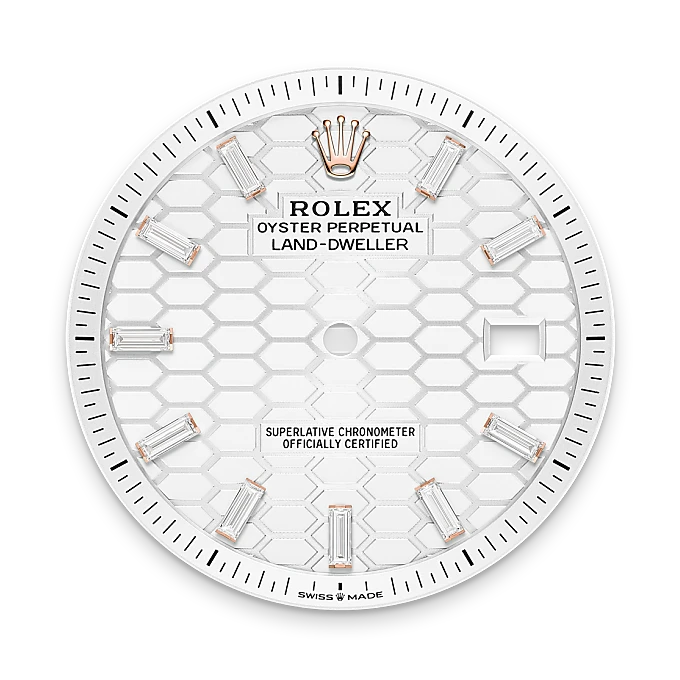 Rolex Land-Dweller in 18 ct Everose gold, M127385TBR-0003 - Emperor Watch & Jewellery Singapore