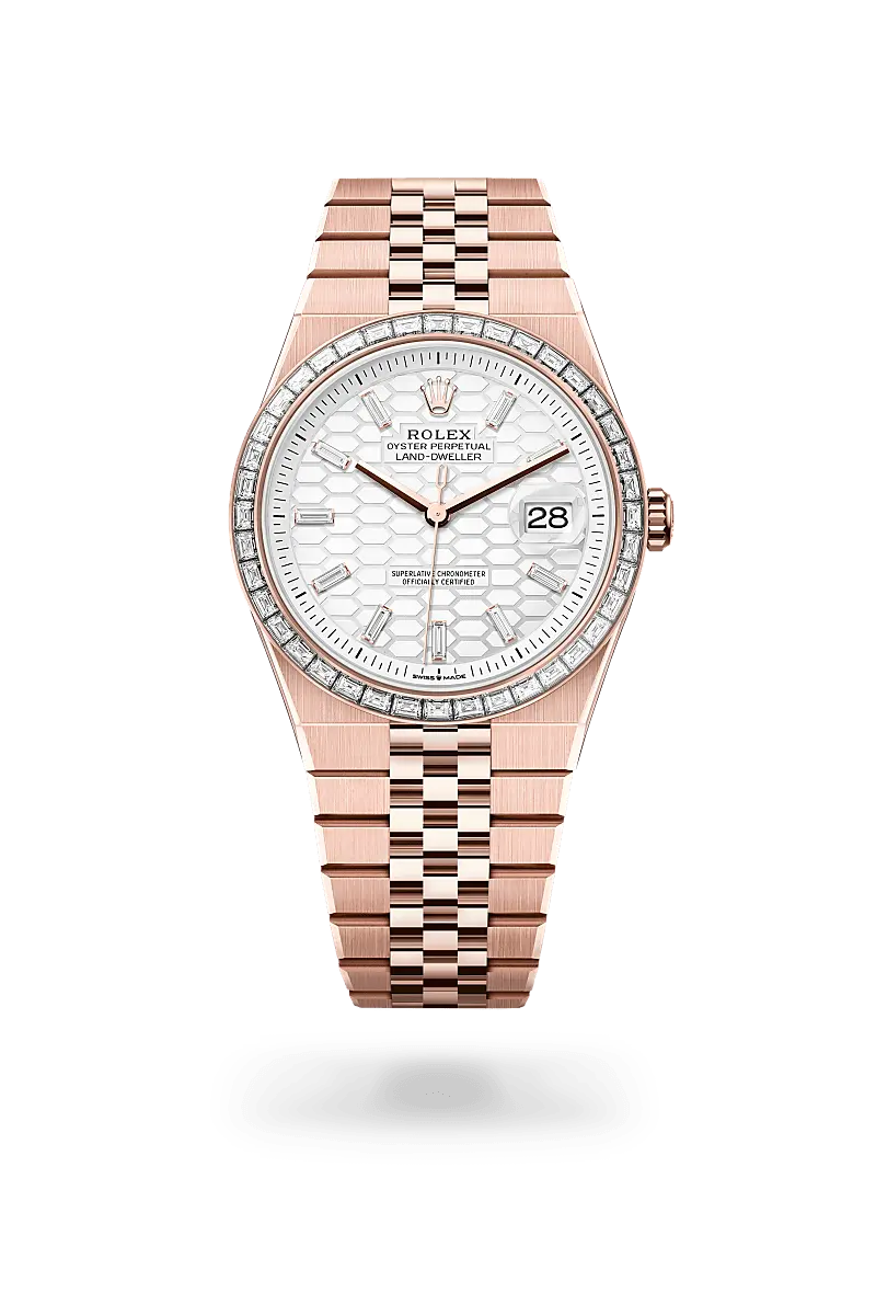 Rolex Land-Dweller 40 Everose gold, M127385TBR-0003 - Emperor Watch & Jewellery Singapore