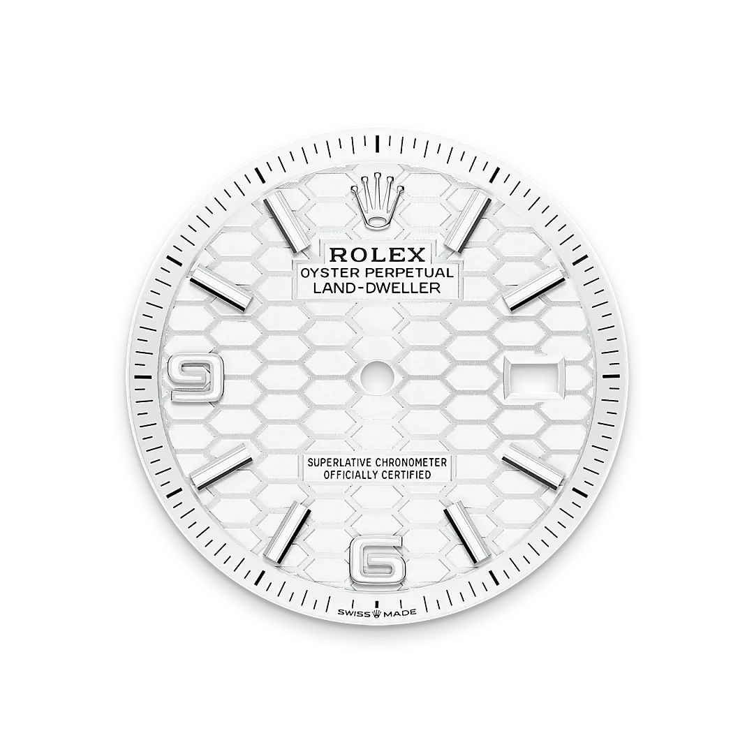Rolex Land-Dweller in White Rolesor - combination of Oystersteel and white gold, M127234-0001 - Emperor Watch & Jewellery Singapore