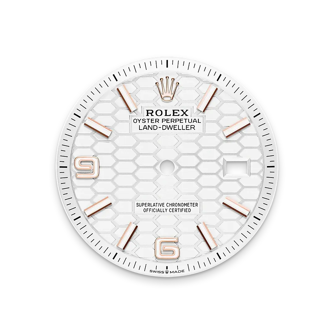 Rolex Land-Dweller in 18 ct Everose gold, M127235-0001 - Emperor Watch & Jewellery Singapore
