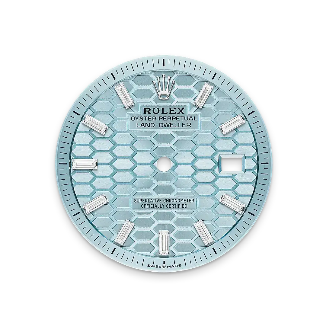 Rolex Land-Dweller in Platinum, M127286TBR-0001 - Emperor Watch & Jewellery Singapore