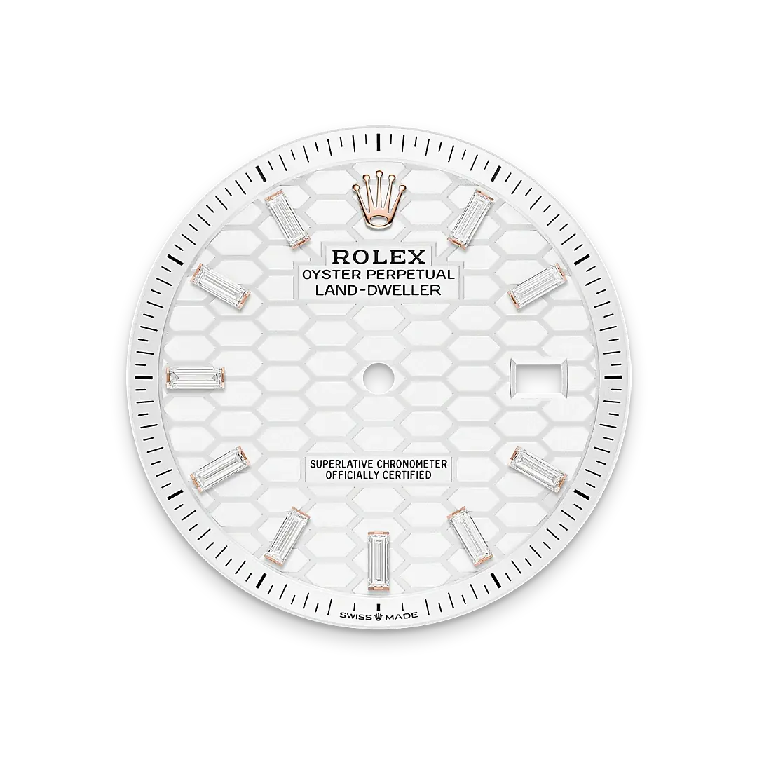 Rolex Land-Dweller in 18 ct Everose gold, M127385TBR-0003 - Emperor Watch & Jewellery Singapore