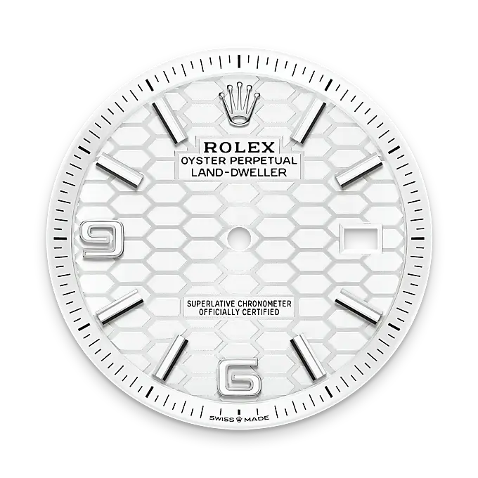 Rolex Land-Dweller in White Rolesor - combination of Oystersteel and white gold, M127334-0001 - Emperor Watch & Jewellery Singapore