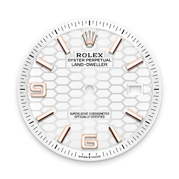 Rolex Land-Dweller in 18 ct Everose gold, M127335-0001 - Emperor Watch & Jewellery Singapore