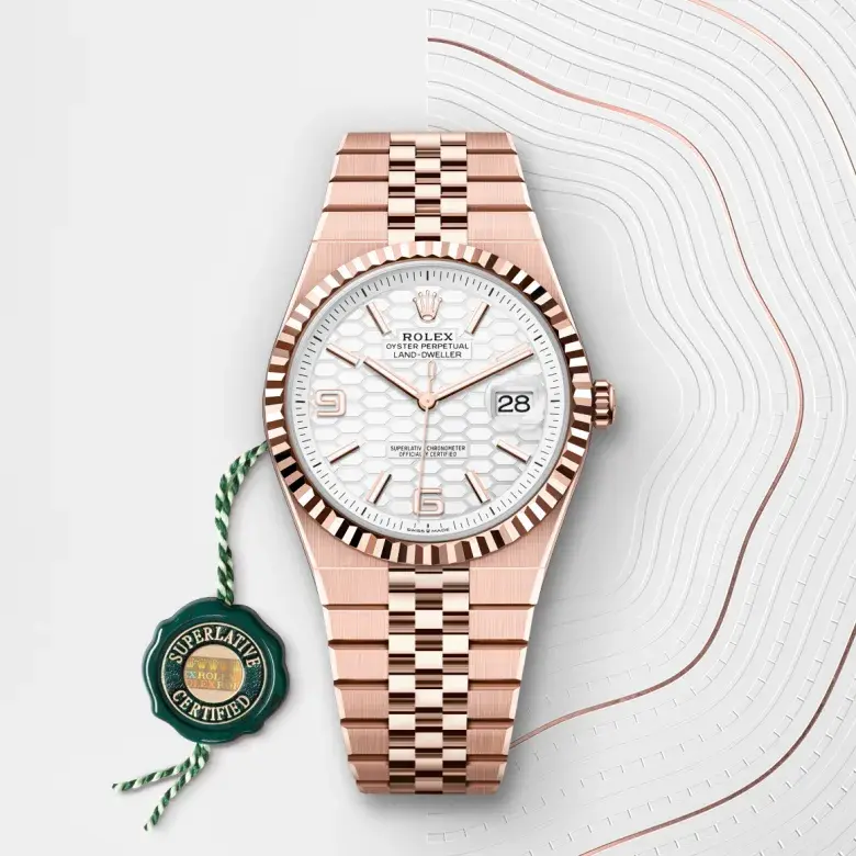 Rolex Land-Dweller M127335-0001 - Emperor Watch & Jewellery Singapore, Third image