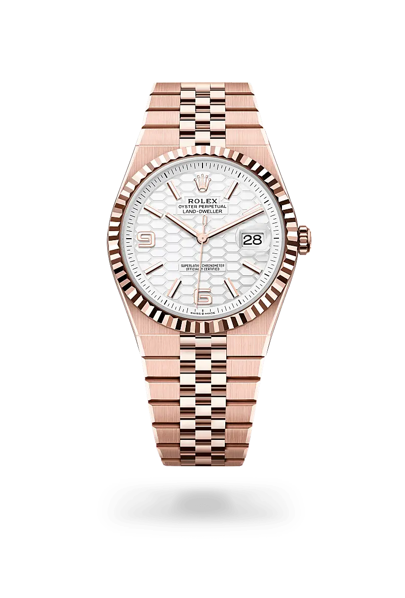 Rolex Land-Dweller in 18 ct Everose gold, M127335-0001 - Emperor Watch & Jewellery Singapore