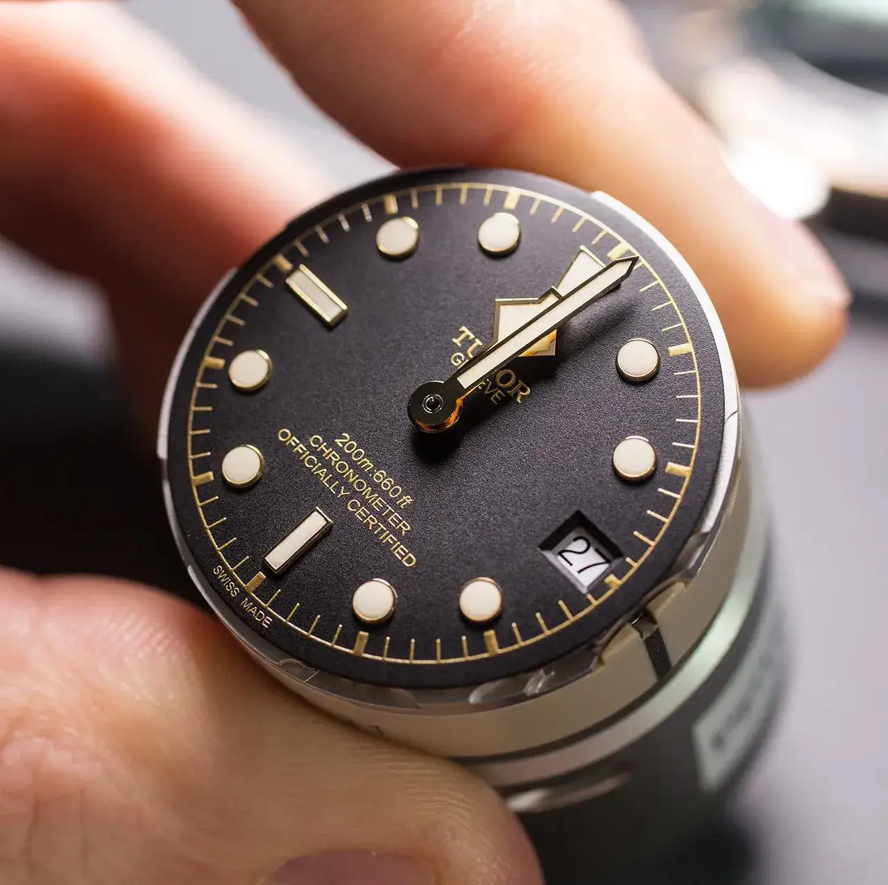 TUDOR Takes to The High Seas