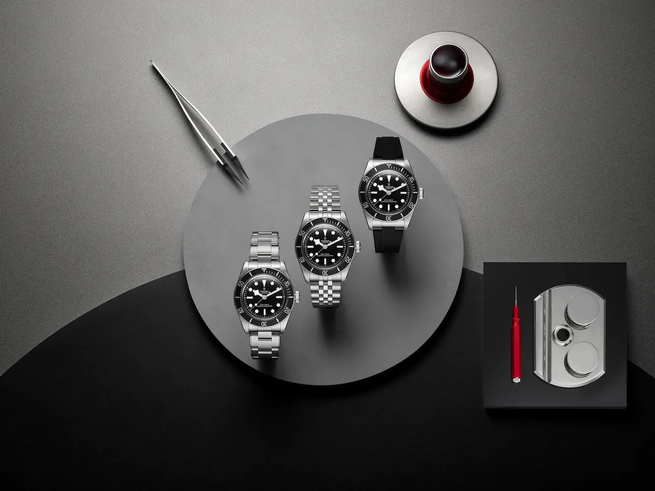 TUDOR Black Bay in Monochrome