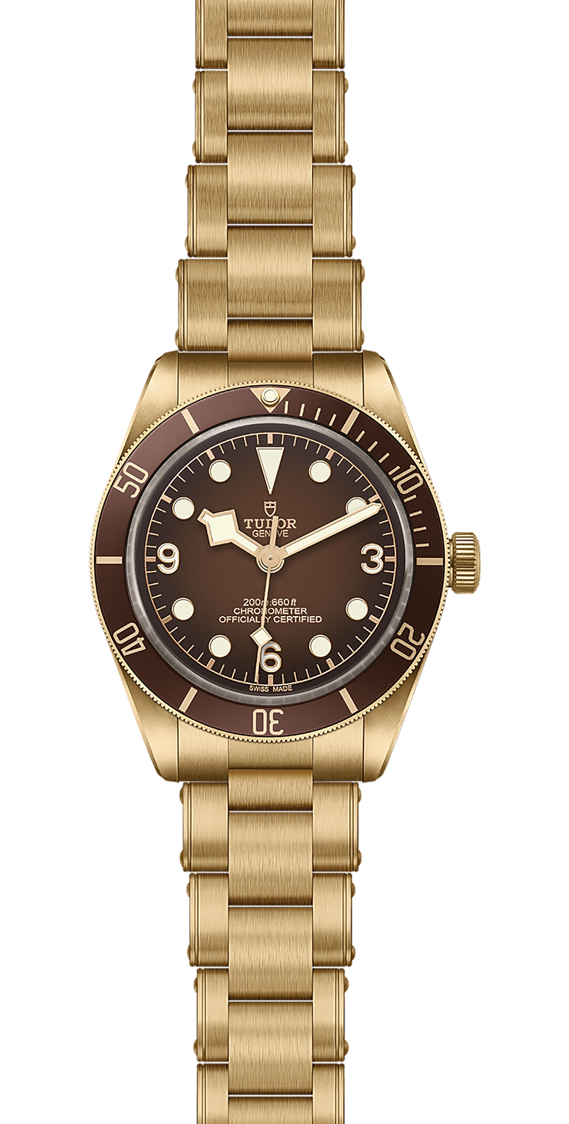 Tudor Watch