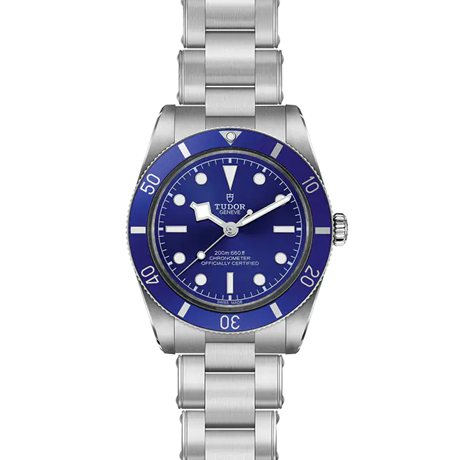 Tudor BLACK BAY 54 M79000B-0001 | Emperor Watch & Jewellery Singapore