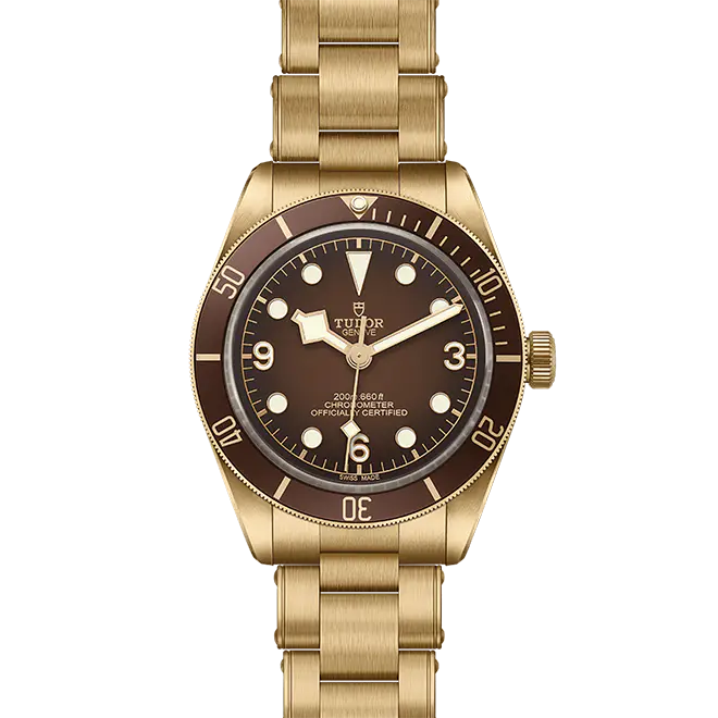 Tudor BLACK BAY 58 M79012M-0001 | Emperor Watch & Jewellery Singapore