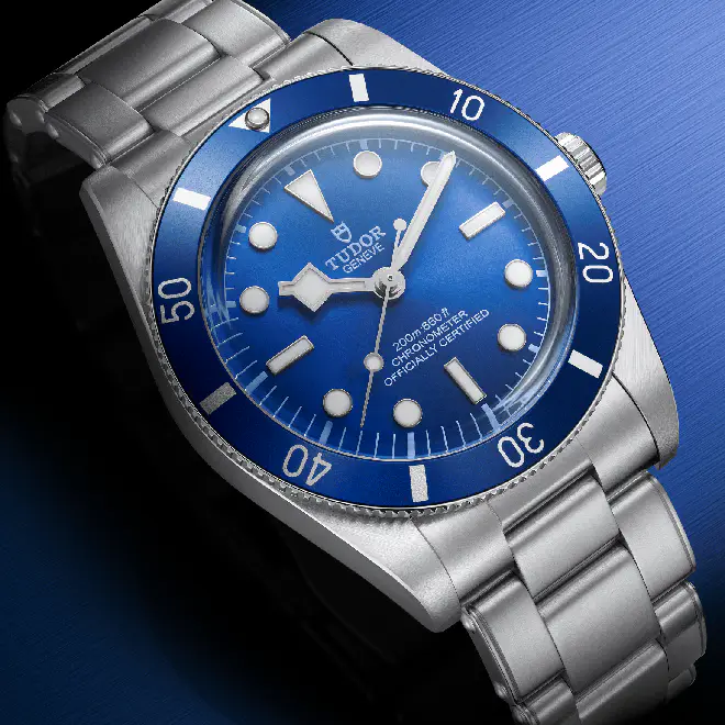 Tudor BLACK BAY 54 M79000B-0001 | Emperor Watch & Jewellery Singapore