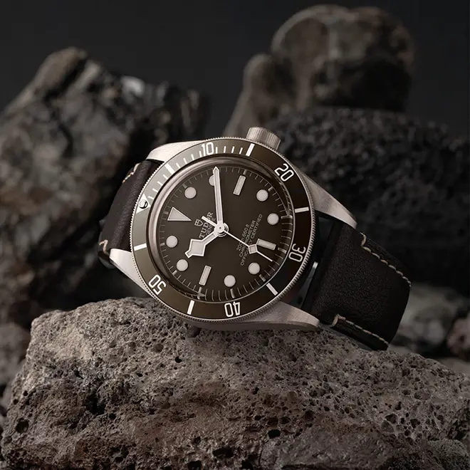 Tudor BLACK BAY 58 925 M79010SG-0001 | Emperor Watch & Jewellery Singapore