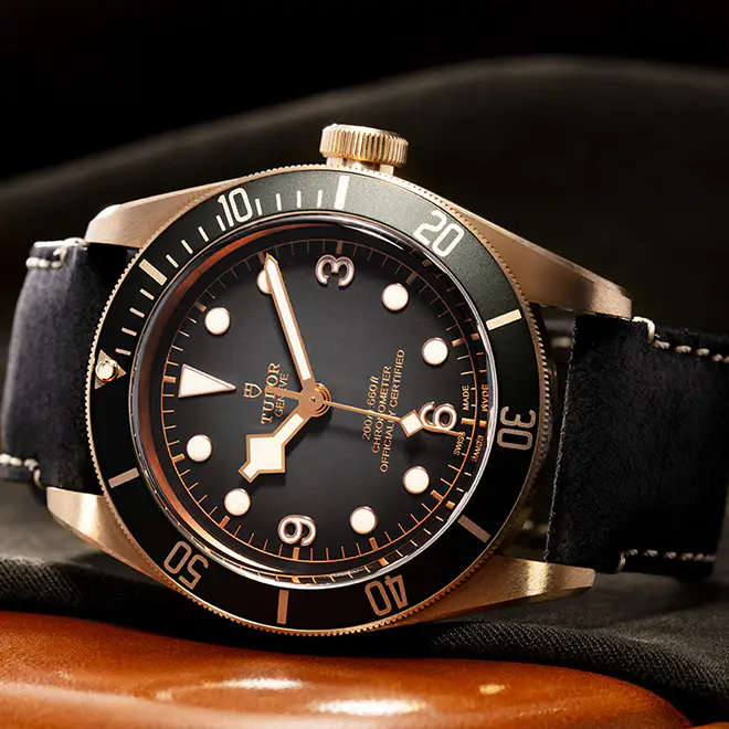 Tudor BLACK BAY BRONZE M79250BA-0001 | Emperor Watch & Jewellery Singapore